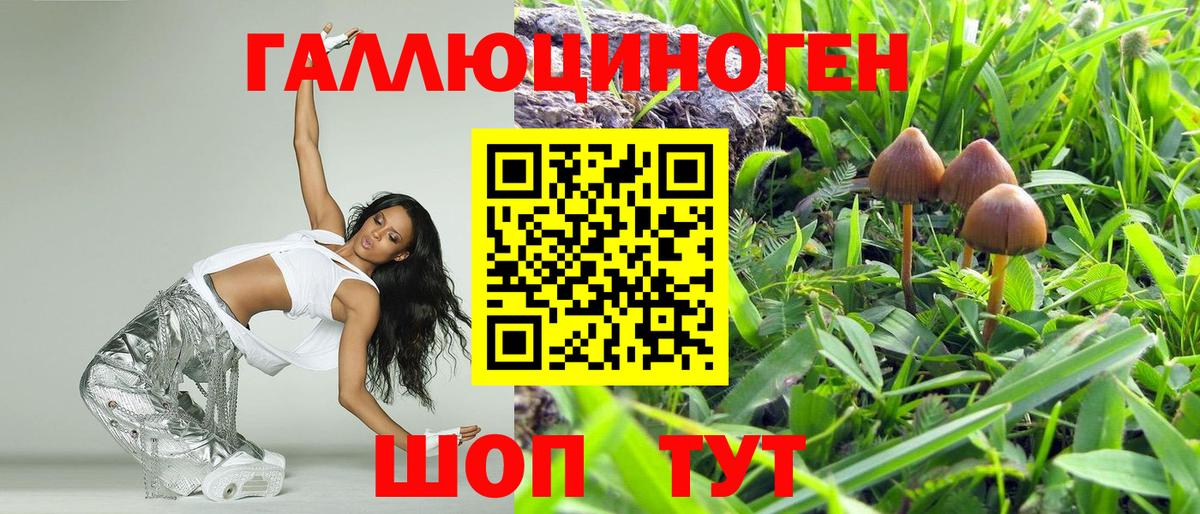 Псилоцибиновые грибы GOLDEN TEACHER Шелехов