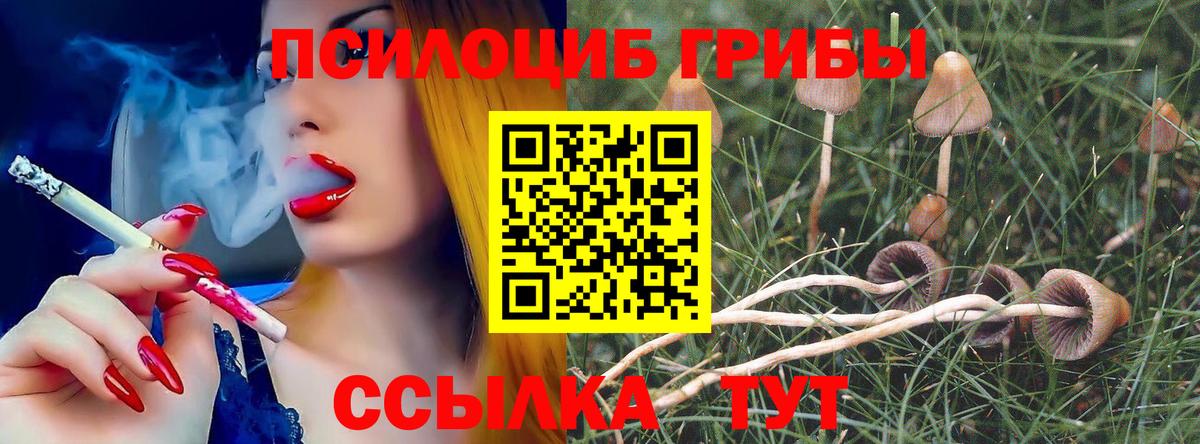 Шелехов  Псилоцибиновые грибы мицелий  Вход с VPN 